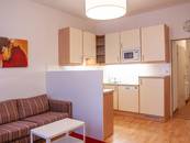 1 BHK Apartment Vienna - Suite Style
