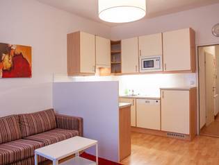 1 BHK Apartment Vienna - Suite Style - 