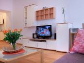 1 BHK Apartment Vienna - Suite Style