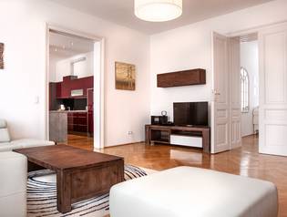 Luxury Apartment Vienna close to city center - 